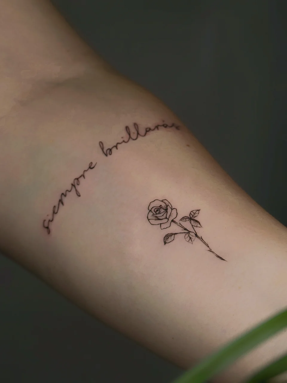 Subtelny tatuaż fine line: odręczny napis „siempre brillarás” i pojedyncza róża na cienkiej łodydze – praca Oli, SHADY TATTOO Wieluń