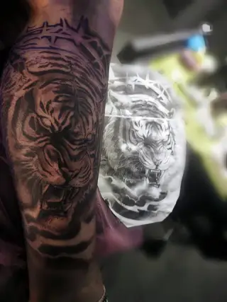 Realistyczny tatuaż tygrysa w black and grey na ramieniu, obok wydruk projektu – SHADY TATTOO Wieluń